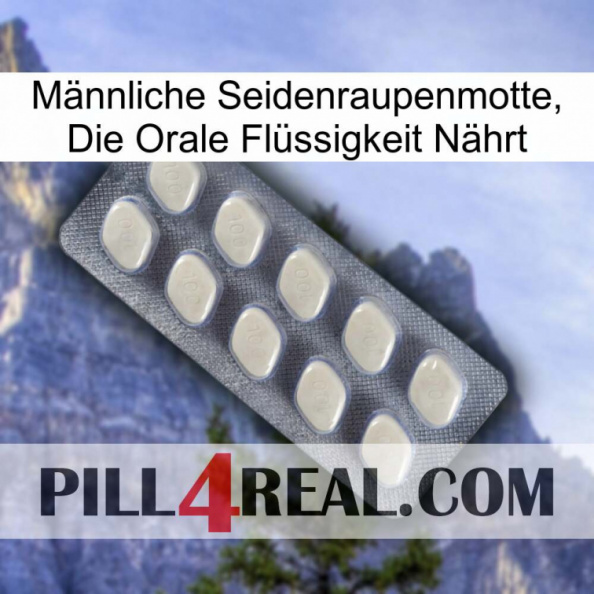 Männliche Seidenraupenmotte, Die Orale Flüssigkeit Nährt 08.jpg